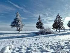 开云平台-英雄联盟四川总决赛全球顶尖战队对决