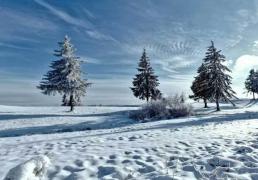 开云平台-英雄联盟四川总决赛全球顶尖战队对决