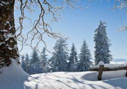 kaiyun-中(zhōng)国電(diàn)竞战队奪(duó)得世界冠军