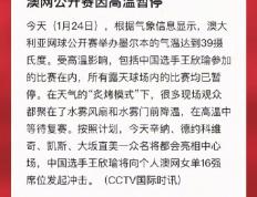 开云体育APP下载-澳网公开赛因高温暂停