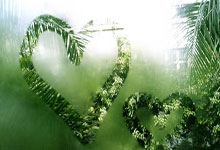 开云体育APP下载-（外代二线）网球——戴维斯杯：意大利队夺冠