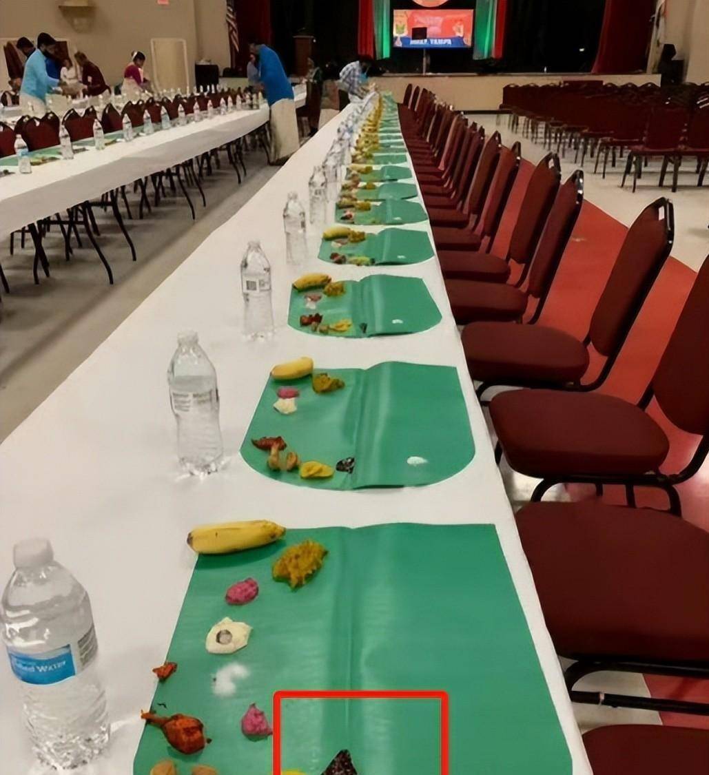 kaiyun-乒乓球亚锦赛变荒野求生比赛场地惊现青蛙?现场环境令人担忧