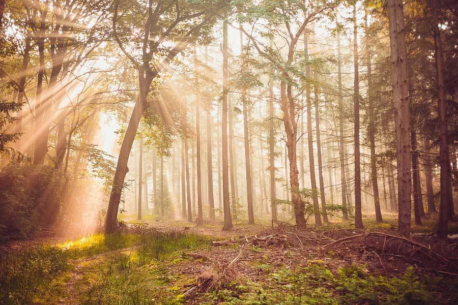 kaiyun-電(diàn)競(jìng)入选亚运会正式比赛项目(mù)